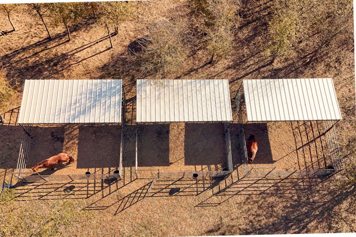 Shade for Your Horse Stall