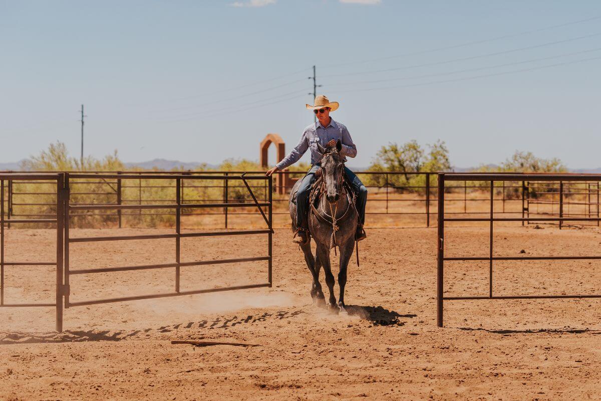 How to Install Continuous Fence – Step-by-Step Guide (With Video!)