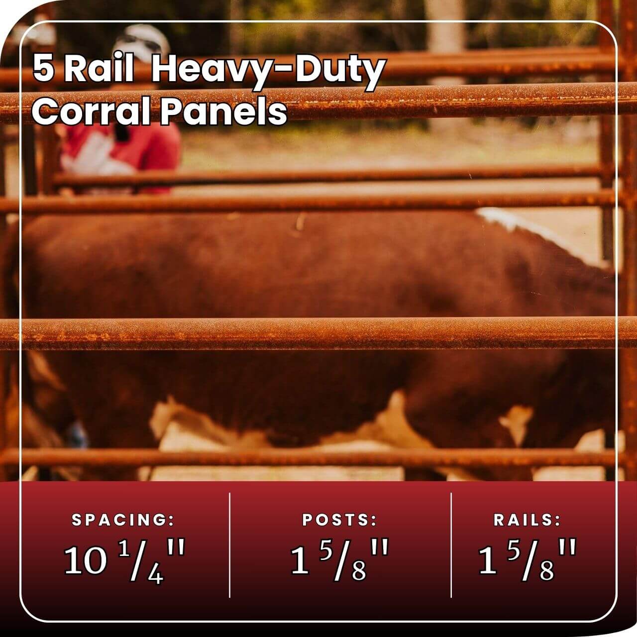 Cattle Working System - (A) 25-30 Head