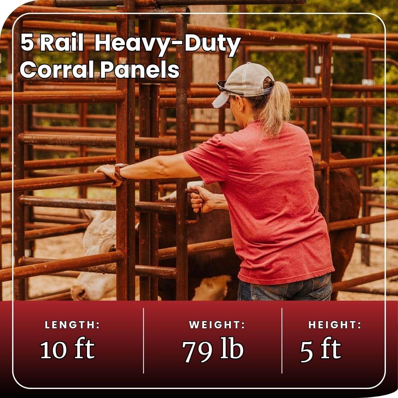 Cattle Working System - (A) 25-30 Head