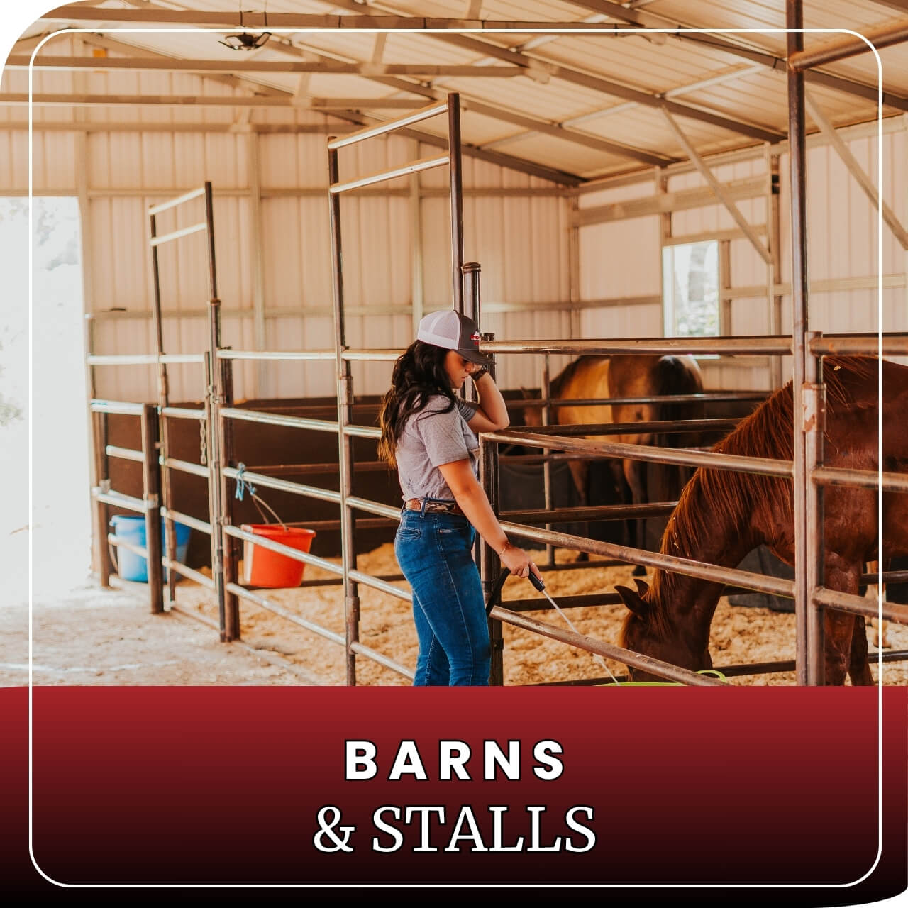 horse stall