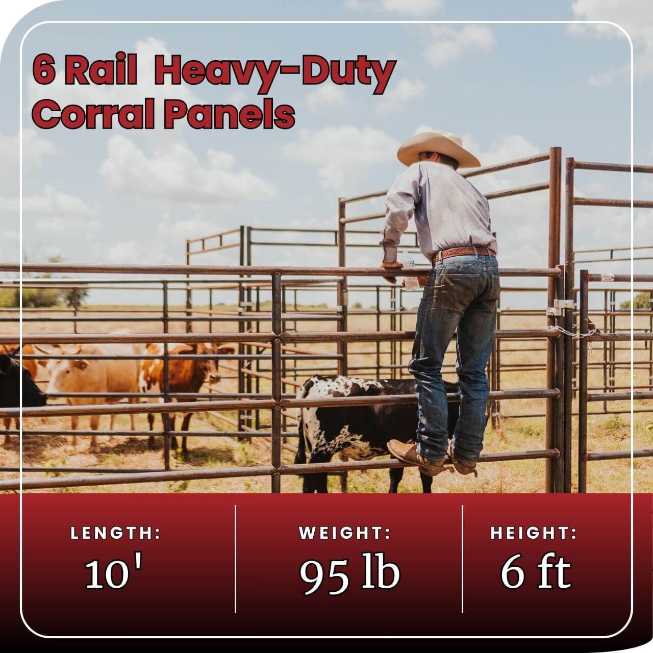 Cattle Working System - (A) 25-30 Head