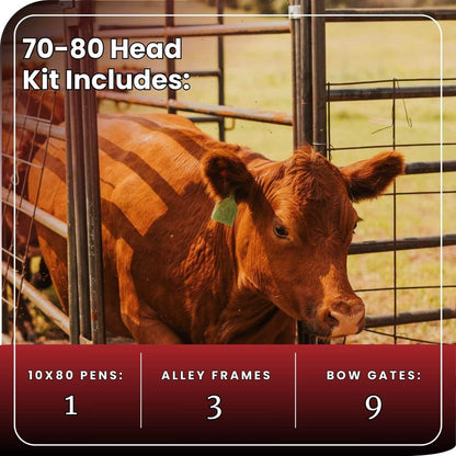 Cattle Working System - (A) 70-80 Head