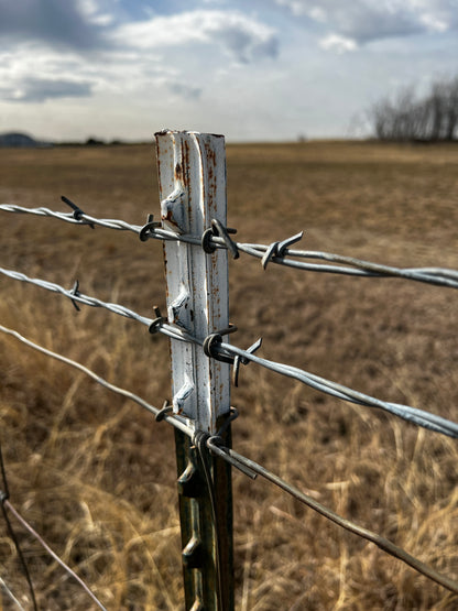 barbed wire fence post countryside field