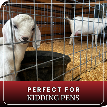 20x20 Livestock Pen (ADD ON)