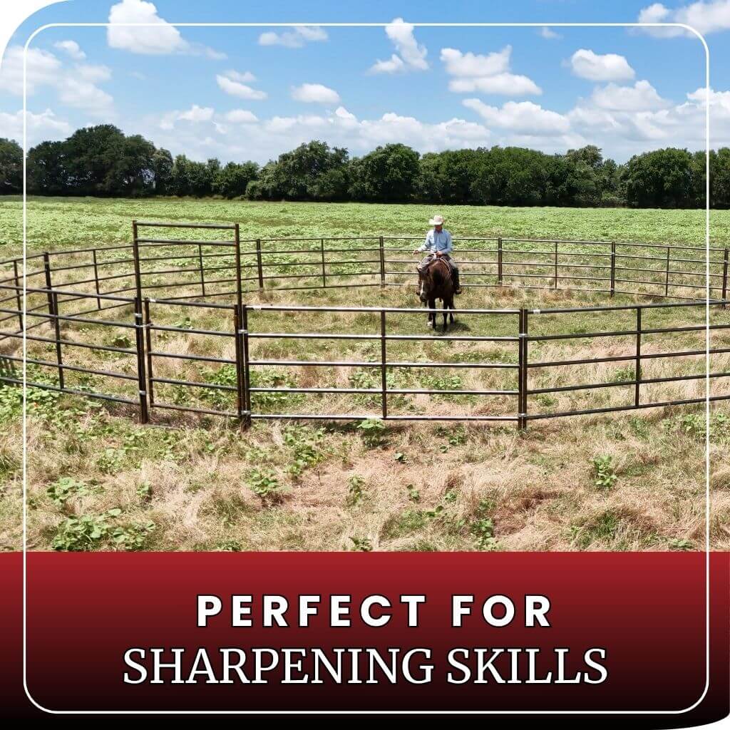 Round pen with horse