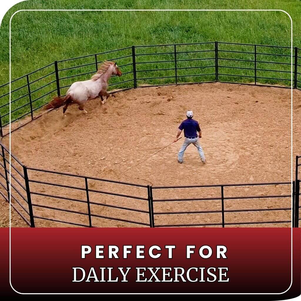 Round horse pen