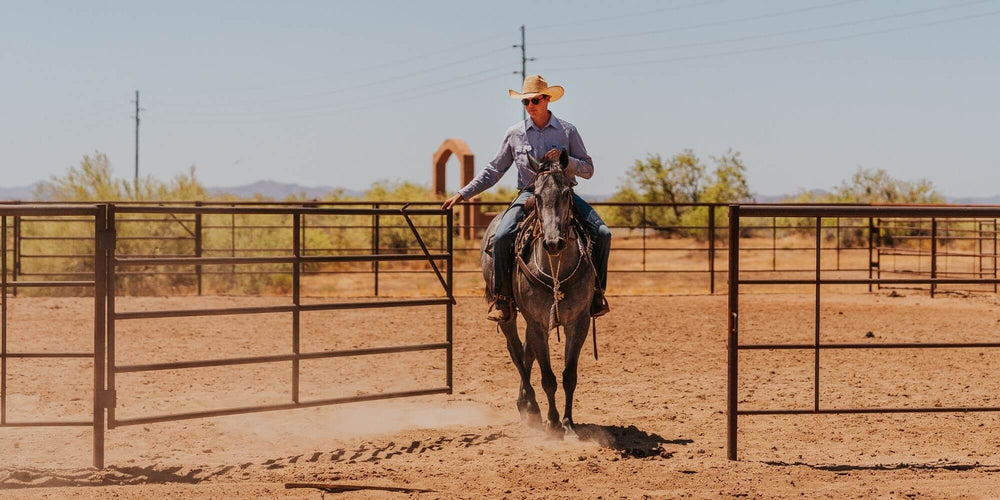 cowboy riding horse in rodeo arena